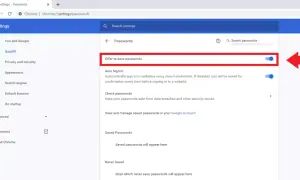 Configuración de Chrome: activa el gestor de contraseñas de Google para guardar tus credenciales de forma segura.