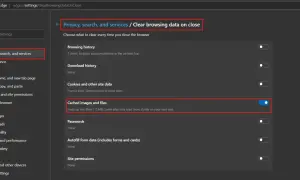Configuración de Edge para borrar caché de imágenes y archivos al cerrar. Activa la opción "Cached images and files" para optimizar el espacio.