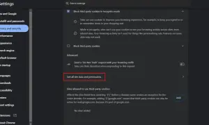 Configuración de privacidad para eliminar cookies de Google. Accede a "Ver todos los datos y permisos del sitio" para gestionar tu información.