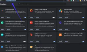 Página de extensiones de Chrome. Aprende como quitar una extensión de Chrome para gestionar tus complementos.