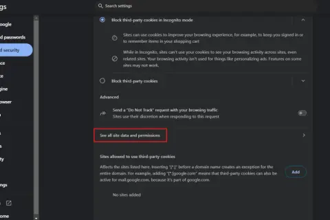 Configuración de privacidad para eliminar cookies de Google. Accede a "Ver todos los datos y permisos del sitio" para gestionar tu información.