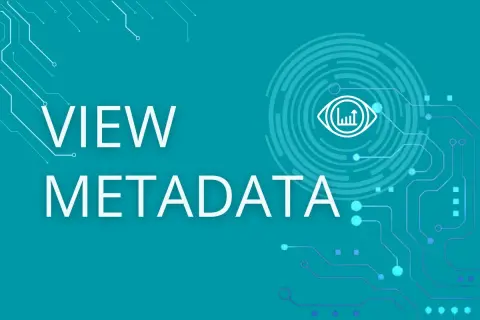 Texto "VIEW METADATA" sobre fondo azul con diseño de circuito y un ojo estilizado. Explora qué son los metadatos.