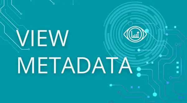 Texto "VIEW METADATA" sobre fondo azul con diseño de circuito y un ojo estilizado. Explora qué son los metadatos.