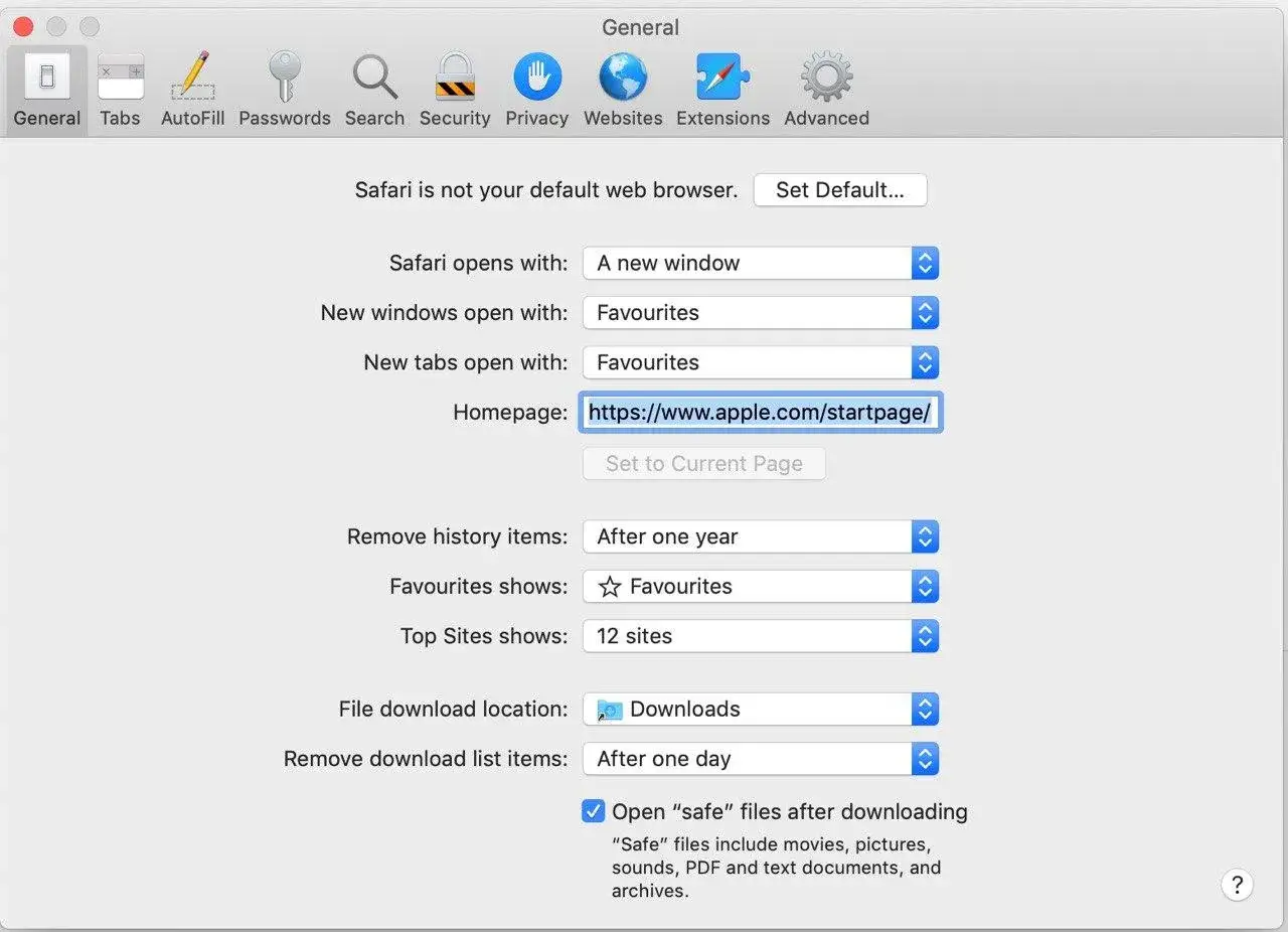 Ajustes generales de Safari: p&aacute;gina de inicio, historial, descargas y m&aacute;s.