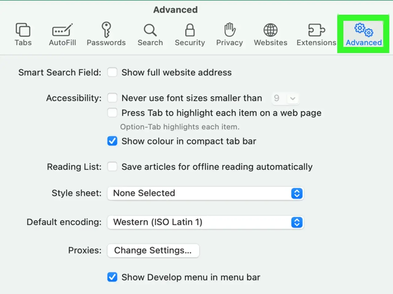 Configuraci&oacute;n avanzada de buscador Safari. Muestra opciones de accesibilidad, lista de lectura, hoja de estilo y codificaci&oacute;n.